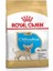Chihuahua Junior Yavru Köpek Maması 1.5 kg 1
