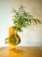 Areka Palmiyesi Kokedama, Areca Dypsis Lutescens Kokedama. 1