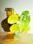 Pilea Peperomioides Kokedama, Çin Para Çiçeği Kokedama. 4