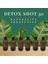6 Adet Detox Şişesi Ginger Shot Amber Cam Çok Amaçlı 50ML 2