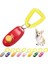 Köpek Eğitimi Clicker 3