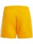 Sportswear JD8014 3-Stripes Swim Shorts Kids 2