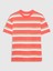 Erkek Çocuk Çok Renkli Desenli Jersey T-Shirt 1