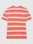 Erkek Çocuk Çok Renkli Desenli Jersey T-Shirt 3