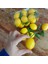 Yapay Meyve Limon 12 Adet 6x4 cm , Dekor, Mutfak, Yapay Meyve, Limon, Yapay Limon 1