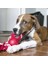 Ipli Top Köpek Oyuncağı Small 6.5 cm 2