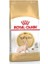 Tüysüz Sphynx Cinsi Yetişkin Kedi Maması 2 kg 1