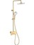 Duş Ünitesi (Fırçalanmış Altın) FJ-3152 1