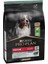 Kuzu Etli Yetişkin Kuru Köpek Maması 3 kg 1