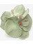 Orchid Renkli Toka 2