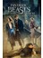 Fantastic Beasts And Where To Find Them (2016) (Folyo / Afiş / Poster) 2768 ( 35 cm x 50 cm ) 1