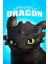 How To Train Your Dragon (2010) 0001 (Folyo / Afiş / Poster) 3633 ( 35 cm x 50 cm ) 1
