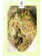 Premium Ginkgo Biloba 35 gr 2