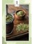 Premium Mate Çayı 50 gr 2