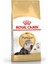 Persian Adult Kuru Kedi Maması 4 kg 1