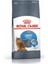 Light Weight Kuru Kedi Maması 1.5 kg 1