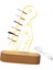 Hafif Gitar Seçicisi Pratik Gitaristler Akrilik Gitar Pick Display (Yurt Dışından) 1
