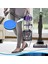 Bissell Febreze Style 1214 Cleanview ve Powerglide Evcil Hayvan Elektrikli Süpürgesi Için 3 Adet Vakum Filtrelerinin Değiştirilmesi (Yurt Dışından) 5
