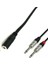 3.5 mm Stereo Dişi To 2x 6.3 mm Mono Erkek Çevirici Kablo 20 cm 1