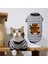 Kedi Köpek İçin Siyah Beyaz Çizgili Ayıcıklı Sweatshirt 4