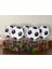 Futbol Topu Kutu Şeker (5 Adet) 1