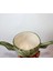 Baby Yoda Mug Bardak 2
