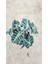 Alocasia Fil Kulağı 30-40 cm Ofis Salon Ev Bitkisi 2