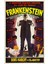 Frankenstein (1931) 2 ( Folyo ) - Afiş - POSTER-2907 ( 50 cm x 70 cm ) 1
