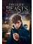 Fantastic Beasts And Where To Find Them (2016) 1 ( Folyo ) - Afiş - POSTER-2769 ( 50 cm x 70 cm ) 1