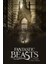 Fantastic Beasts And Where To Find Them (2016) 2 ( Folyo ) - Afiş - POSTER-2770 ( 50 cm x 70 cm ) 1