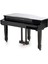 Speyer Serisi AG30S Grand Piyano 4
