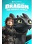 How To Train Your Dragon The Hidden World (2019) 5 ( Folyo ) - Afiş - POSTER-3647 ( 50 cm x 70 cm ) 1