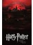 Harry Potter And The Deathly Hallows Part 2 (2011) 6 ( Folyo ) - Afiş - POSTER-3364 ( 50 cm x 70 cm ) 1
