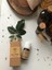 Nine and mi e Doğal Yaşam %100 Saf ve Doğal Gül Ağacı (Aniba Rosaeodora Wood) Uçucu Yağı (5 Ml) 5