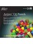 Artists Oil Pastels 12 Metallıc + 12 Fluorescent Colours 2
