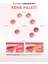 Gün Boyu Kalıcı Pürüzsüz Matlık Sunan Tint PERIPERA Over Blur Tint (004 Coral-La-La) 6