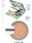 Gün Boyu Kalıcı Mat Cushion Fondöten CLIO Kill Cover Skin Fixer Cushion (24W Sand) SPF50+ PA+++ 2