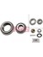 Arka Teker Rulmani Kit Passat 1.8-2.0 04/00 -Golf I-Ii-Iii-Iv-Jetta-Polo-Ibiza-Toledo-Favorit 12 1