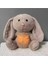 Nefes Alan Işıklı Uyku Arkadaşı Tavşan Peluş Oyuncak 28CM Müzikli Nefes Sesi Işıklı 2