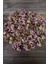 Ekinezya Çayı 250 gr 2