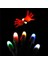 2 Adet Rastgele Renk 2 Adet Light-Up Başparmak LED Parmak Işığı Yanıp Sönen Parmaklar Sihir Sahne Kızdırma Oyuncaklar Çocuk Çocuklar Aydınlık Hediyeler (Yurt Dışından) 2