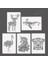 B1 5 Adet/takım Boyama Çocuk Oyuncakları Şablonlu Şablon Dıy Scrapbooking Boyama Kaplan Aslan Fil Cetvel Çocuk Eğitici Oyuncaklar (Yurt Dışından) 1