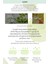 Yağlanma Eğilimli Ciltler İçin Çay Ağacı Özü İçeren Arındırıcı Tonik A'PIEU The Pure Tea Tree Toner 3