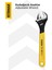 RH02803 Kurbağacık Anahtar 10'' Çap 250 mm 1