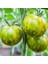 Green Zebra Çizgili Domates Tohumu (15 Tohum) 1