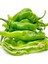 Doğal Italian Long Hot Chile Acı Biber Tohumu (10 Tohum) 1
