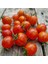 Süpernova Cherry Domates Tohumu (15 Tohum) 1
