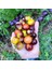 Bosque Bumblebee Cherry Domates Tohumu (15 Tohum) 1