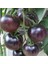 Black Cherry Siyah Domates Tohumu (15 Tohum) 1