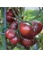 Black Krim Iri Etli Domates Tohumu (15 Tohum) 1
